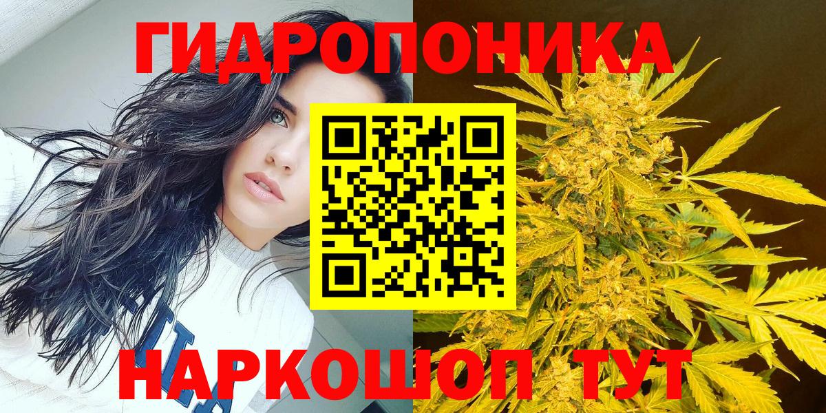 Канабис OG Kush  Каннабис сатива  Канабис Bruce Banner  Каннабис THC 21%  Вход с VPN  Сегежа 